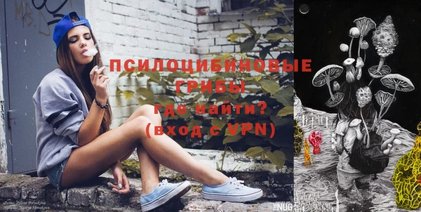 тгк Алзамай