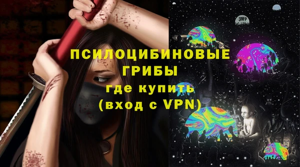 ГАЛЛЮЦИНОГЕННЫЕ ГРИБЫ Алексеевка