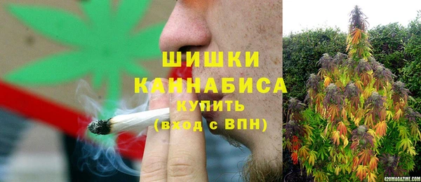 ГАЛЛЮЦИНОГЕННЫЕ ГРИБЫ Алексеевка