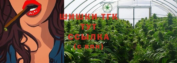 тгк Алзамай