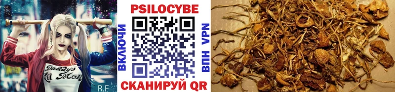 как найти наркотики  Чайковский  Псилоцибиновые грибы мухоморы 