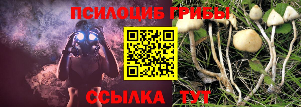 Галлюциногенные грибы прущие грибы Чайковский